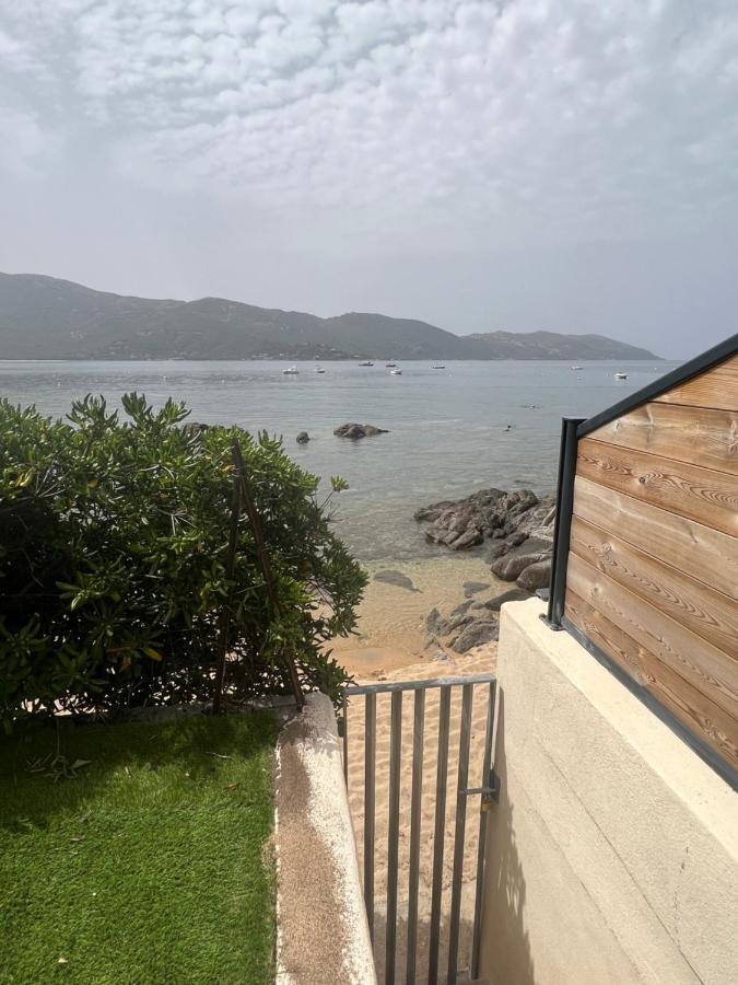 Appartement 2-4 Pers, Acces Direct Mer Casaglione Экстерьер фото